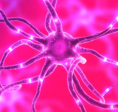 فواید استروژن در بدن فواید استروژن در بدن